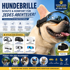 Pet Sunglasses Dog Windproof Glasses Accessories Goggles