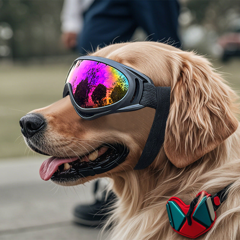 Sonnenbrille für Hunde – Winddichte Brille & Zubehör – UV-Schutz, wind-, staub- und schneesicher.