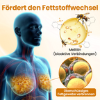 💪 Biancat® VenomDefine Pro Brust-Modellierungsöl 🐝 Tägliche Unterstützung mit Bienengift für eine festere und definiertere Brust