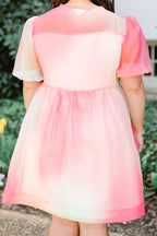 My Palette Dress, Multi