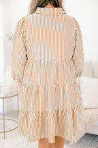 You've Got This Dress, Tan Stripe